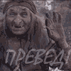 Данпил